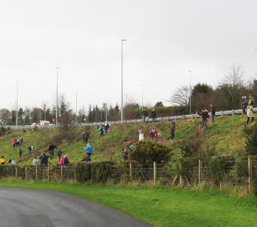 Planting trees in Ireland